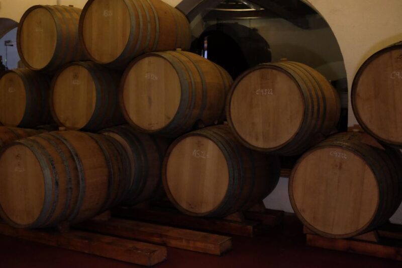 From Barcelona: Pvt Penedès Wine & Cava Tastings with Lunch - Why This Tour Works for Travelers