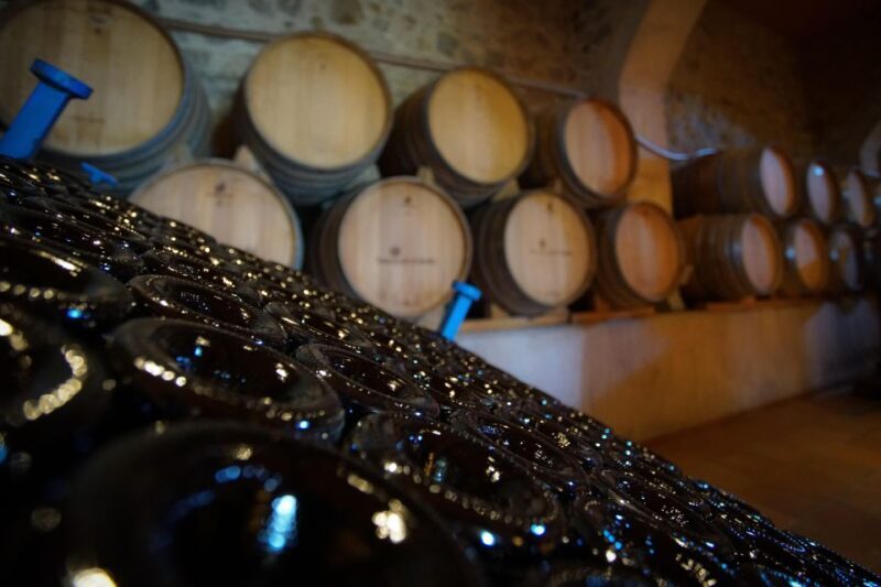 From Barcelona: Sailing and Wine Tasting Experience - From Barcelona: Sailing and Wine Tasting Experience