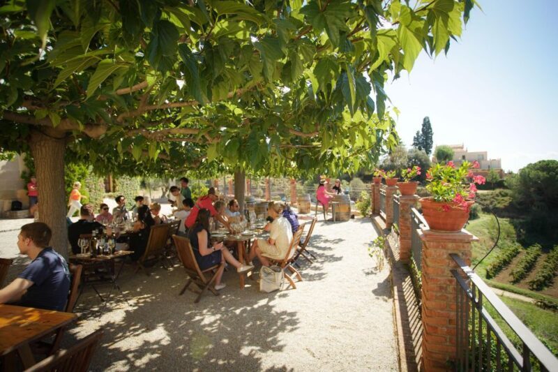 From Barcelona: Sailing and Wine Tasting Experience - Concluding Thoughts