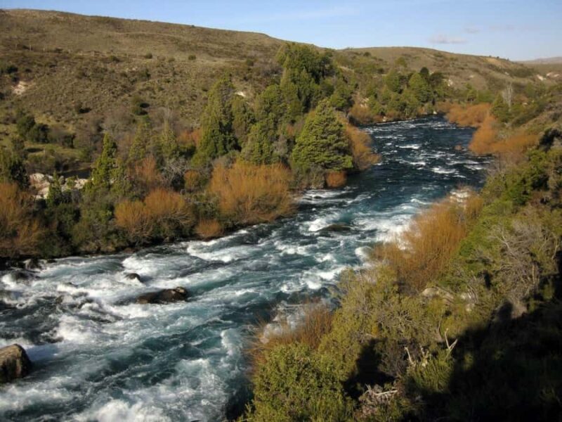 From Bariloche: San Martin de los Andes and 7 Lakes Circuit - Who Will Love This Tour?
