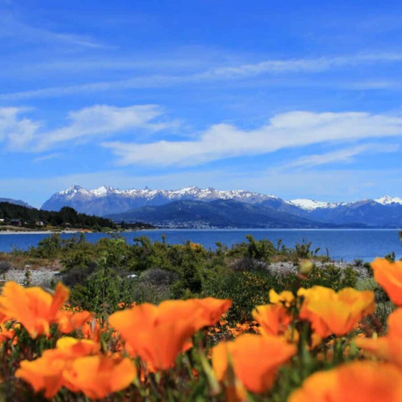 FROM BARILOCHE: SAN MARTIN DE LOS ANDES BY 7 LAKES - Key Points