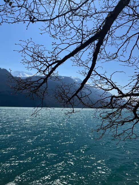 From Basel: Alps, Waterfalls and Lakes Private Car Tour - The Value Proposition