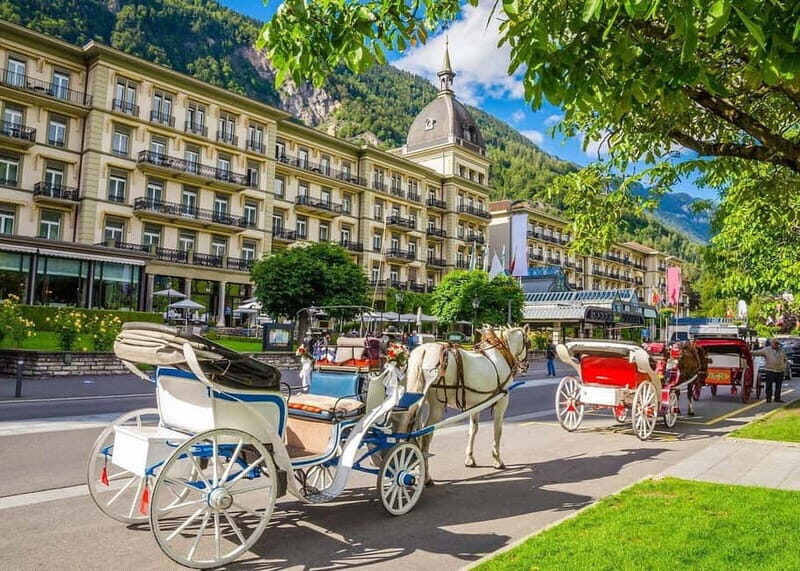 From Basel: Private Interlaken tour, Lake Brienz, Waterfalls - Key Points