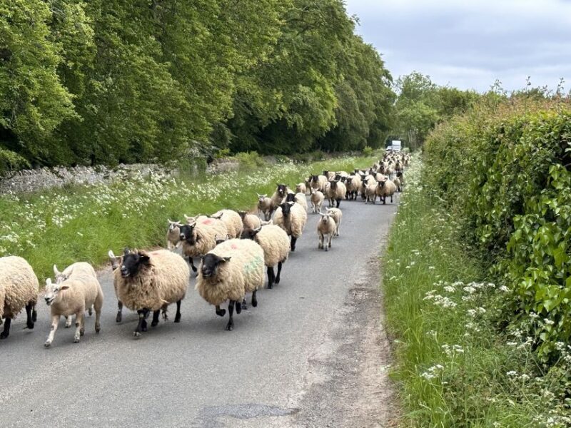 From Bath: Cotswolds Private Day Tour with Pickup - Starting from Bath: Convenience Meets Comfort