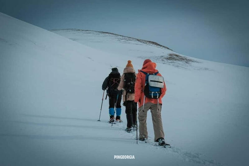 From Batumi: Snowshoe hiking ski resort Goderdzi - Ajara - Final Thoughts
