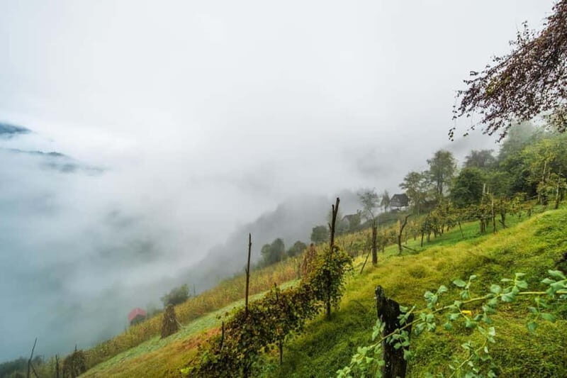 From Batumi: Songs & Flavors of Merisi Village - A Complete Look at the Experience