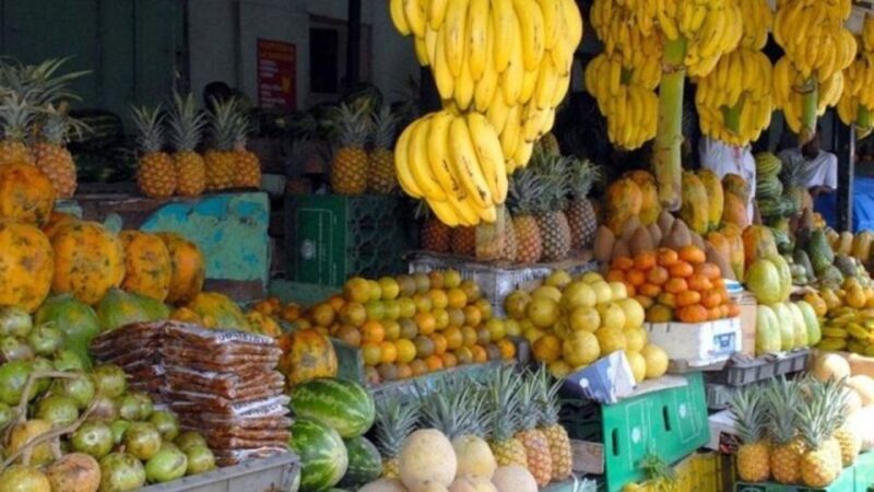 From Bávaro: Higüey Tour with Ranch Horse Ride and Lunch - What Travelers Say About This Tour