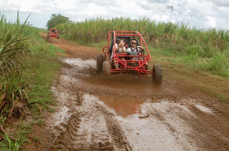 From Bayahibe: Half-day La Romana ATV or 4X4 Buggy Tour - Final Thoughts
