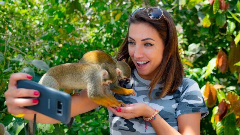 From Bayahibe: Half Day Monkeyland Safari - Evaluating the Tour’s Value