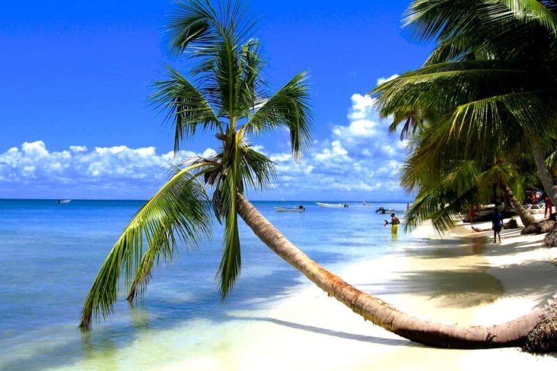 From Bayahibe: Saona Island, Open Bar, Speedboat & Lunch - Key Points