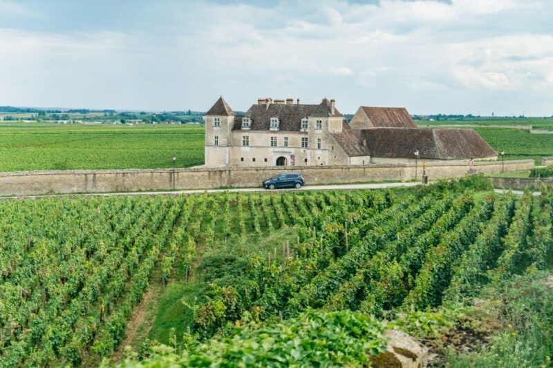 From Beaune: Burgundy Day Trip with 14 Wine Tastings - From Beaune: Burgundy Day Trip with 14 Wine Tastings — An In-Depth Review