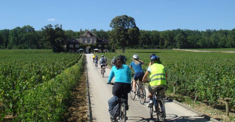 From Beaune: Full-Day Bicycle and Wine Tour in Burgundy - An In-Depth Look at the Burgundy Bicycle and Wine Experience