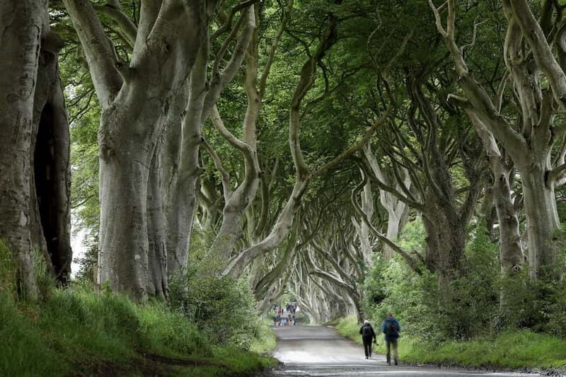 From Belfast: Giant's Causeway and Game of Thrones Tour - The Sum Up: Why This Tour Is a Great Choice