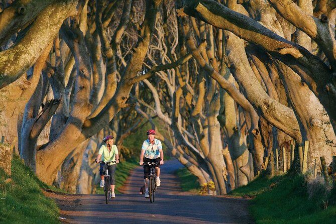 From Belfast-Giants Causeway, Dunluce Castle and Dark Hedges tour - The Sum Up