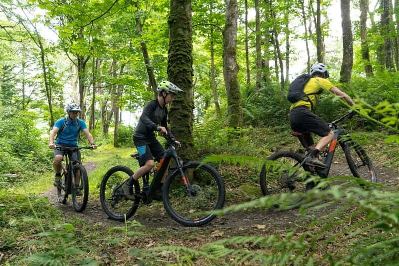 From Belfast: Mountain Bike Experience - From Belfast: Mountain Bike Experience — A Balanced Look at an Exciting Outdoor Adventure