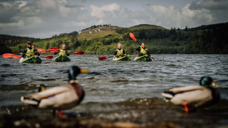 From Belfast : Sit-On-Top Kayak Experience - Final Thoughts