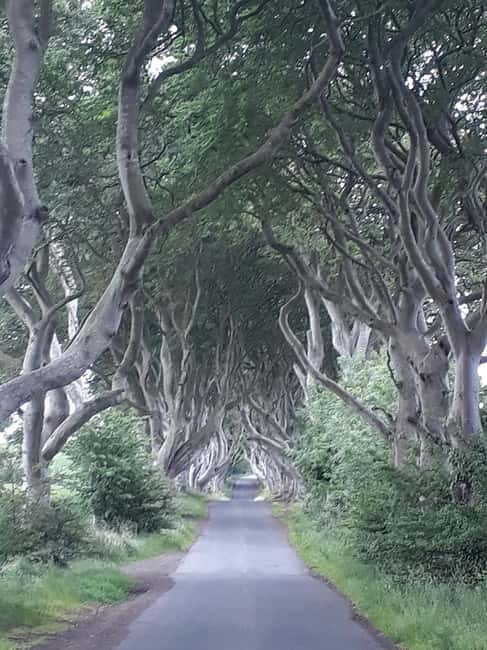 From Belfast: The Giant's Causeway & Game of Thrones Tour - Key Points