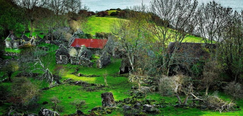From Belfast: The Gobbins Cliff walk and Glens of Antrim - Why the Tour Offers Great Value
