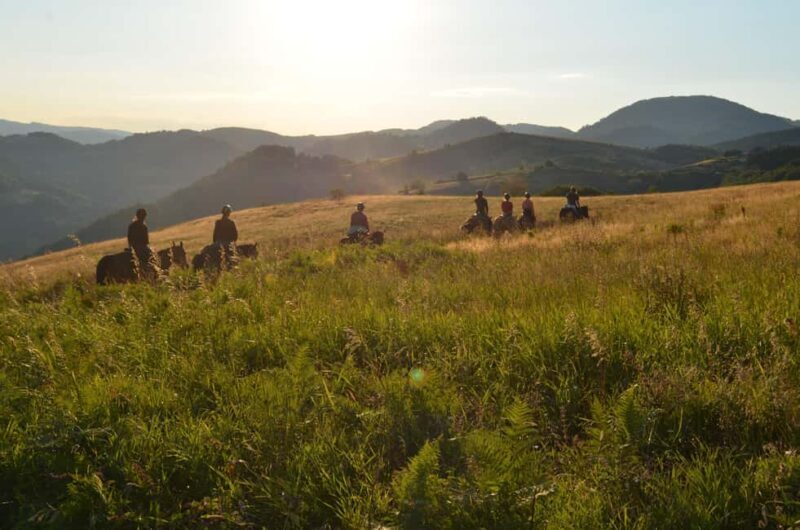 From Belgrade: 6-Day umadija Trail Horseback Riding Tour - Who Should Consider This Tour?