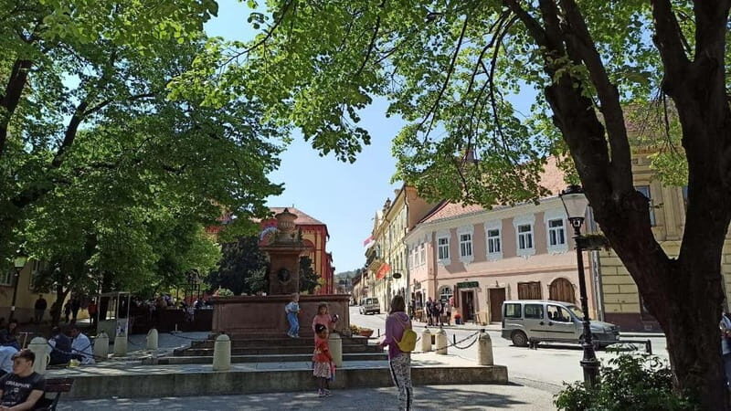 From Belgrade: Novi Sad and Sremski Karlovci Tour - Practical Details
