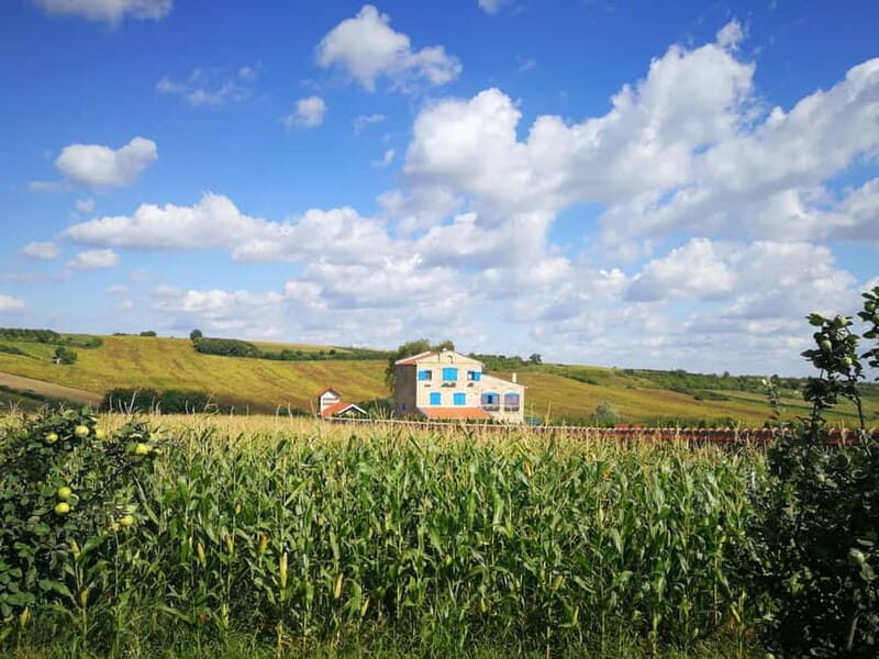 From Belgrade: Novi Sad & Fruska gora & winery and monastery - Exploring Serbia’s Vojvodina: A Detailed Journey
