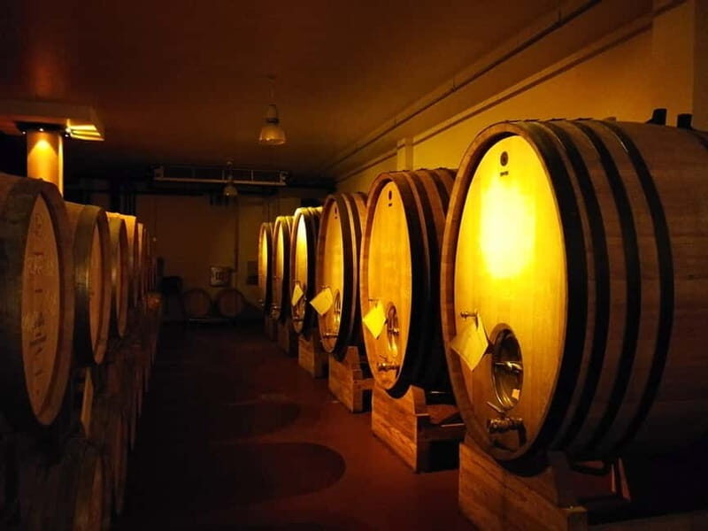 From Belgrade: Subotica and Palic Full-Day Trip with winery - Exploring the Full-Day Trip in Detail