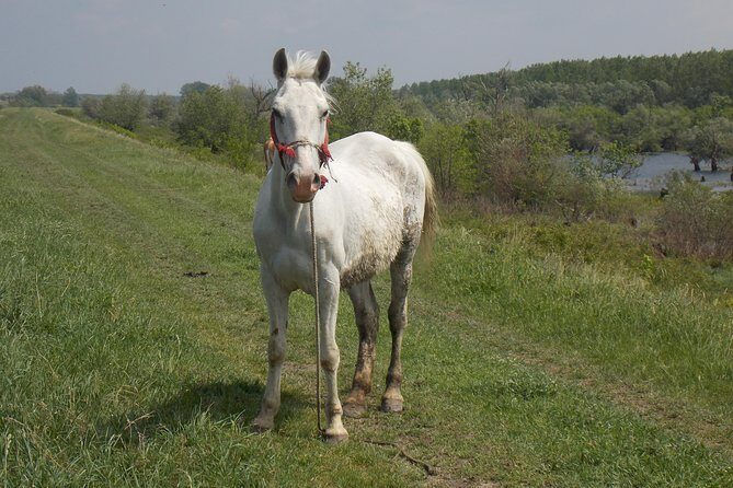 From Belgrade to Panevo - into the wild - FAQ