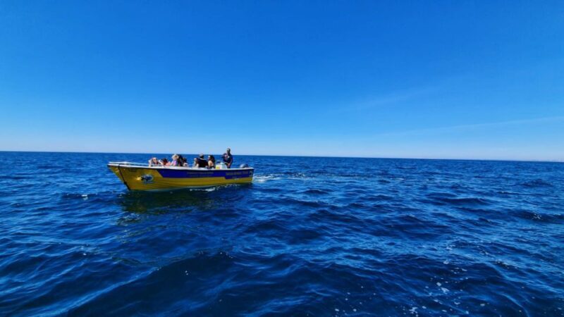 From Benagil: Benagil Cave & Marinha Beach Express Tour - FAQs