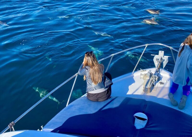 From Benalmádena & Torremolinos: Dolphin Watch Boat Trip - From Benalmádena & Torremolinos: Dolphin Watch Boat Trip — A Closer Look