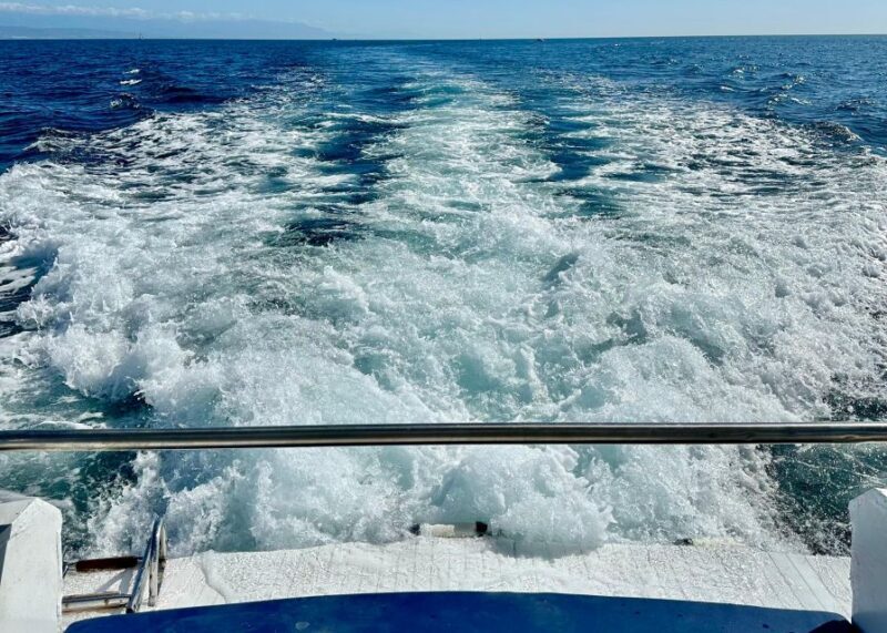 From Benalmádena & Torremolinos: Dolphin Watch Boat Trip - FAQs