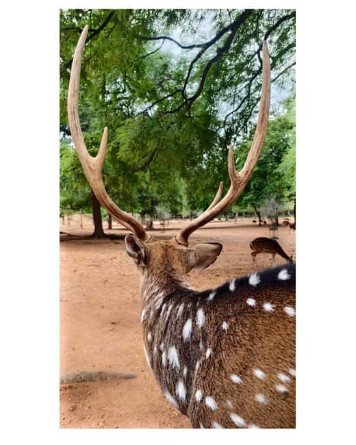 From Bengaluru: Devarayana Durga Guided Day Trip - FAQs