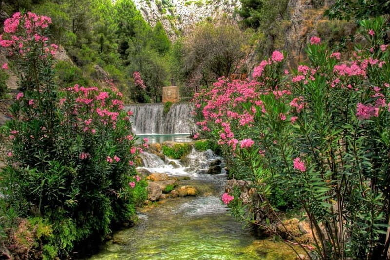 From Benidorm: Algar Waterfalls Tour with transfer - What’s Included and What’s Not