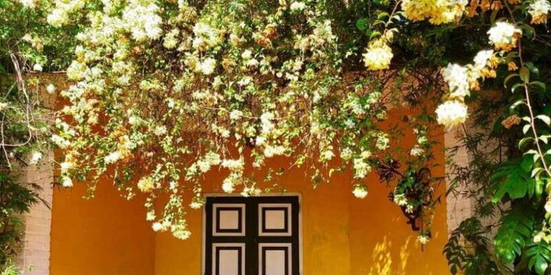 From Bentota/Beruwala: Lunuganga & Brief Garden Marvels Tour - Key Points