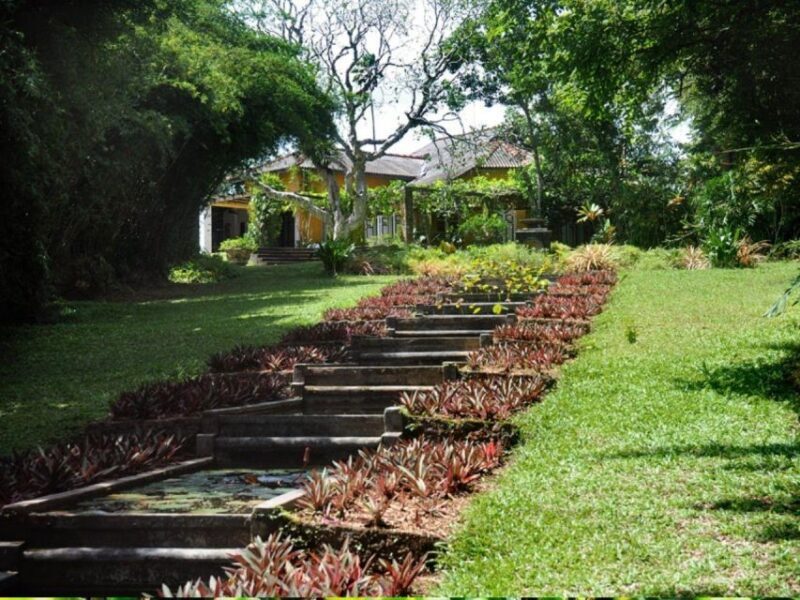From Bentota/Beruwala: Lunuganga & Brief Garden Marvels Tour - Final Thoughts