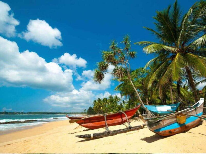 From Bentota/ Beruwala: Scenic Countryside Cycling Adventure - From Bentota/ Beruwala: Scenic Countryside Cycling Adventure – A Detailed Review