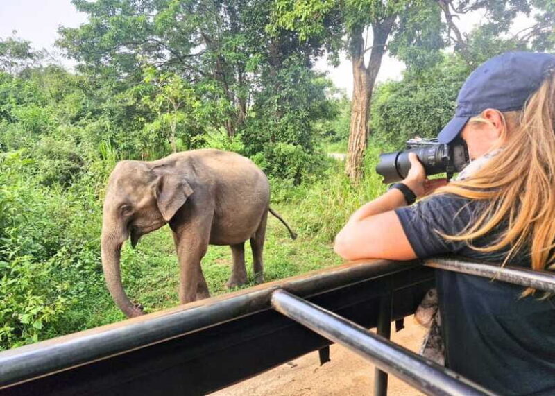From Bentota: Elephant Transit Camp and Udawalawe Safari - Price and Value Analysis