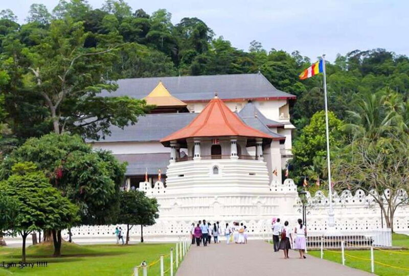 From Bentota/Kalutara: Magical Journey to Kandy & Pinnawala - An In-Depth Look at the Tour Experience