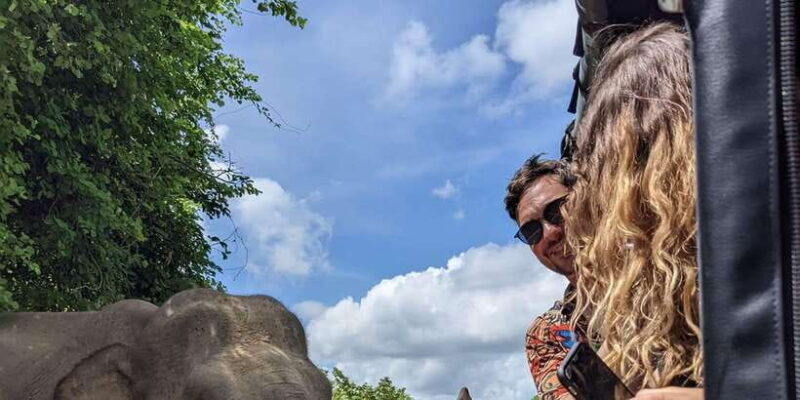 From Bentota /Kalutara : Yala National Park Safari Jeep Tour - From Bentota /Kalutara : Yala National Park Safari Jeep Tour