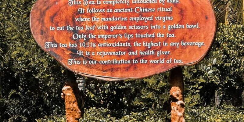 From Bentota: Southern Coast Highlights Private Day Tour - Key Points