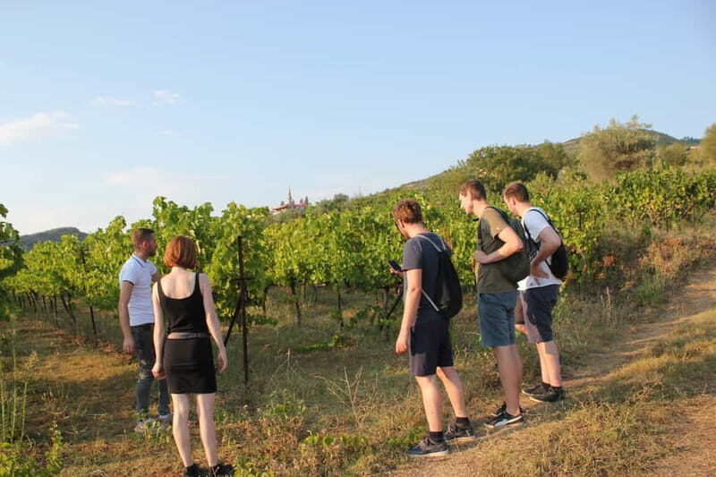 From Berat: Guided Winery Tour with Transfers and Tastings - The Itinerary: What to Expect