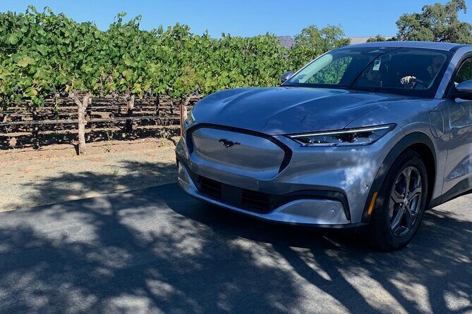 From Berkeley Hotels to Oakland Airport and vice versa - Key Points