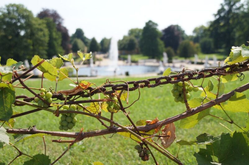 From Berlin: Potsdam Half-Day Tour in Spanish - Final Thoughts: Is It Worth It?