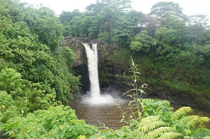 From Big island Hilo Shared Shore Excursion and Waterfalls Tour - In-Depth Look at the Tour Experience