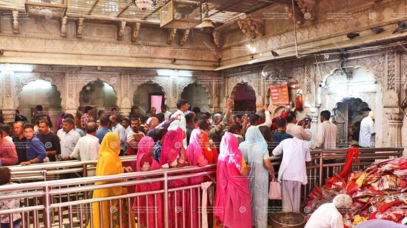 From Bikaner: Rat Temple Tour with Drop-off at Jodhpur - Key Points