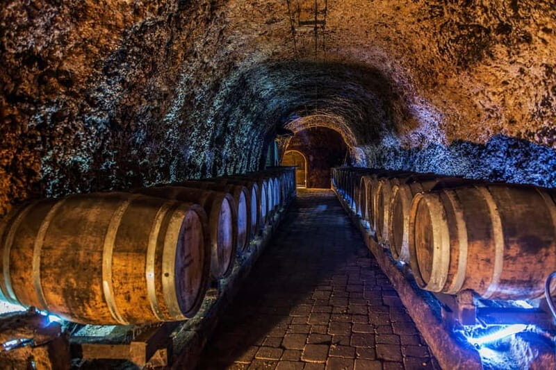 From Bilbao: La Rioja a journey to the vineyards & tradition - Who Will Love This Tour?
