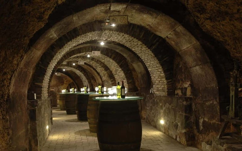 From Bilbao: La Rioja Wineries Day Trip with Wine Tastings - What’s Included and What to Expect