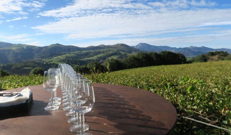 From Bilbao: Private San Sebastian, Pintxo, and Wine Tour - Learning About Basque Culture and History