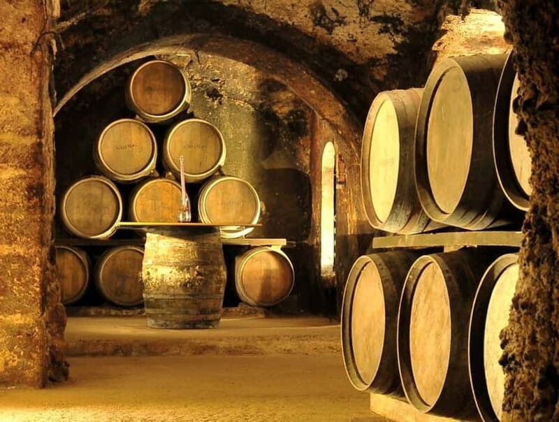 From Bilbao: Rioja Wine Region with Winery & Vitoria-Gasteiz - Final Thoughts