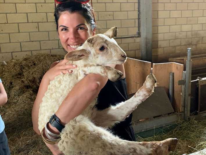 From Bilbao: San Sebastian and Basque Cheese Farm Tour - The Experience in Detail