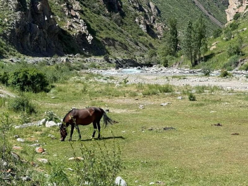 From Bishkek : Sokuluk Gorge & Belogorka Waterfall (One Day) - FAQ